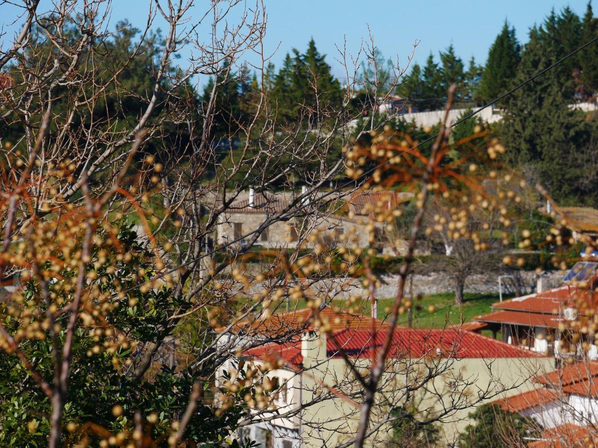 Dom wakacyjny Casa Di Grigoris *
